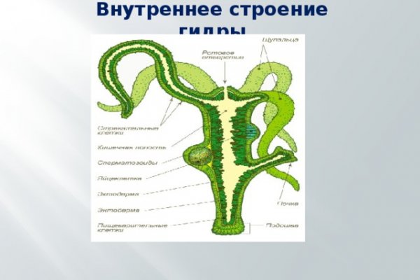 Сайт кракен 24
