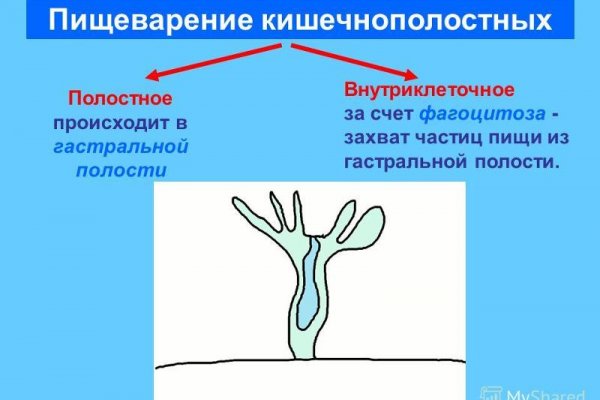 Кракен маркет даркнет только через тор